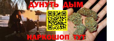 индика Будённовск