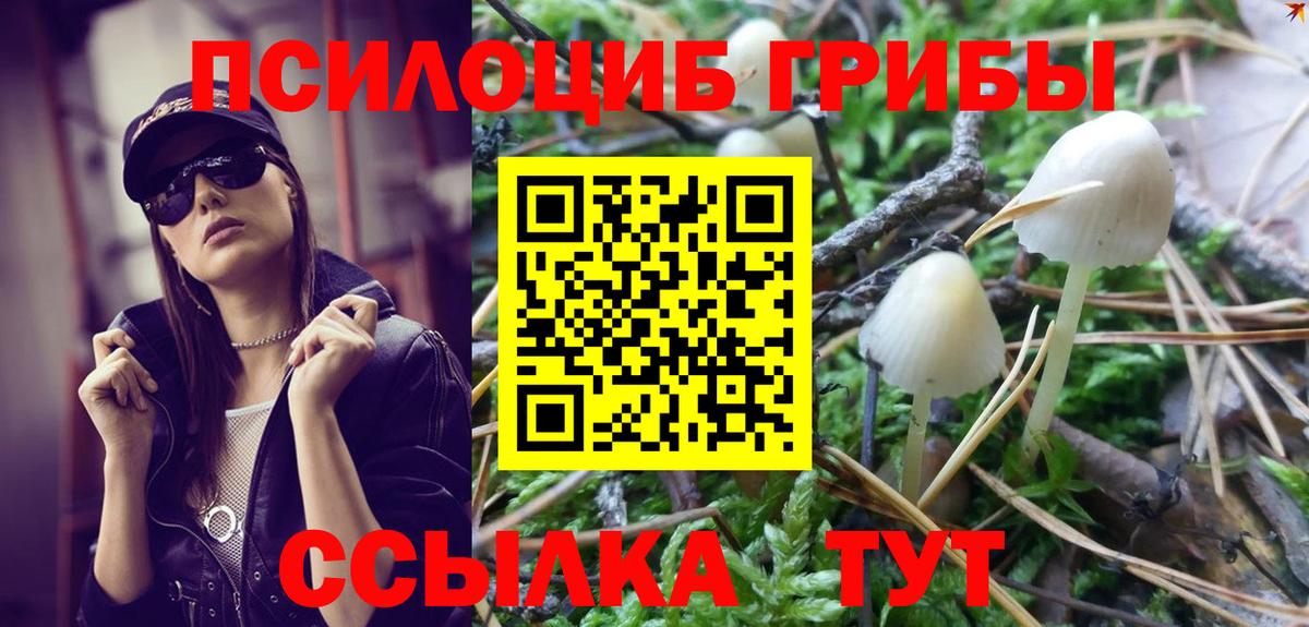 Галлюциногенные грибы ЛСД  Вход с VPN  Галлюциногенные грибы Psilocybe  Соль-Илецк 