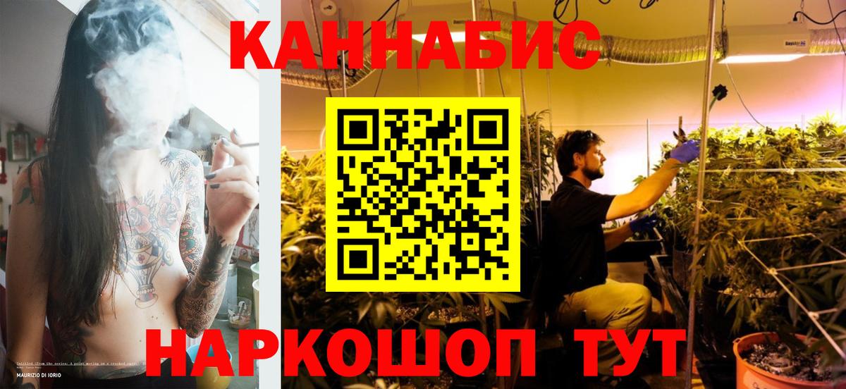 Конопля гибрид Соль-Илецк